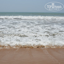 фото из отзыва ID 1343159