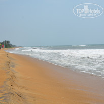 фото из отзыва ID 1343159