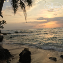 фото из отзыва ID 1343174