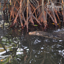 фото из отзыва ID 1343207