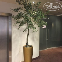 фото из отзыва ID 1343220