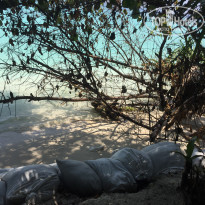 фото из отзыва ID 1343359