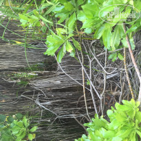 фото из отзыва ID 1343359