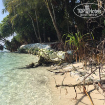 фото из отзыва ID 1343359