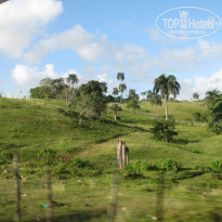 фото из отзыва ID 1343216