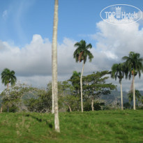 фото из отзыва ID 1343216