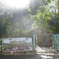 фото из отзыва ID 1343216