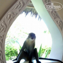 фото из отзыва ID 1342638