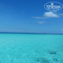 фото из отзыва ID 1342638