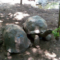 фото из отзыва ID 1342638