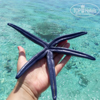 фото из отзыва ID 1342638