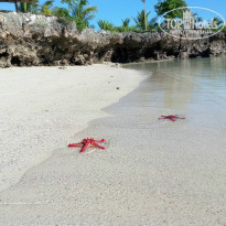 фото из отзыва ID 1342638