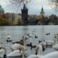 фото из отзыва ID 1343552