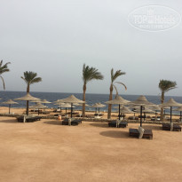 фото из отзыва ID 1343565