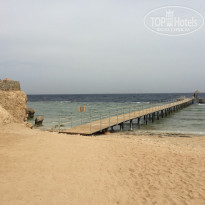 фото из отзыва ID 1343565