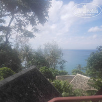 фото из отзыва ID 1343467