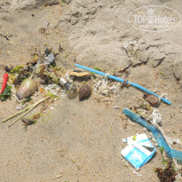 фото из отзыва ID 1343686