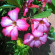 фото из отзыва ID 1343500
