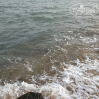 фото из отзыва ID 1343759