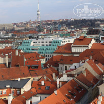 фото из отзыва ID 1343816