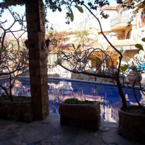 фото из отзыва ID 1343836