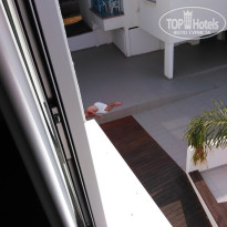 фото из отзыва ID 1343898