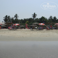 фото из отзыва ID 1344136