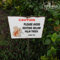 фото из отзыва ID 1344136