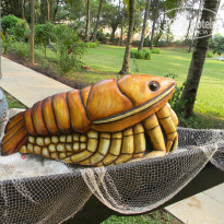 фото из отзыва ID 1344136