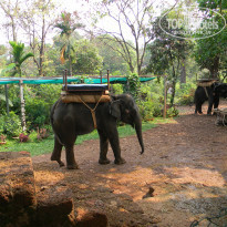 фото из отзыва ID 1344136