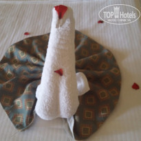 фото из отзыва ID 1344162