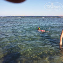 фото из отзыва ID 1344162