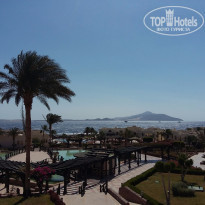 фото из отзыва ID 1344162