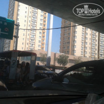 фото из отзыва ID 1344269