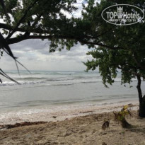 фото из отзыва ID 1344285