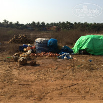 фото из отзыва ID 1343488