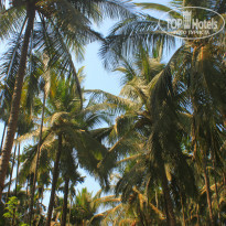 фото из отзыва ID 1344337