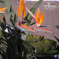 фото из отзыва ID 1344535