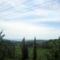 фото из отзыва ID 1344549