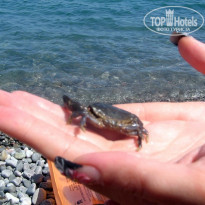 фото из отзыва ID 1344549