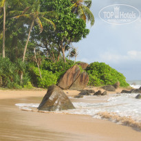 фото из отзыва ID 1344599