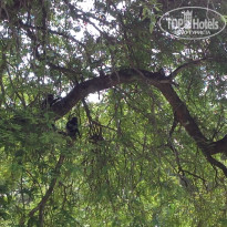 фото из отзыва ID 1344599