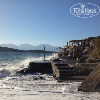 фото из отзыва ID 1344635