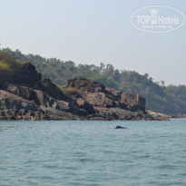 фото из отзыва ID 1344822