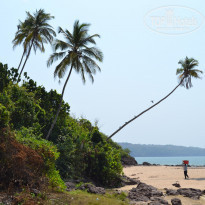 фото из отзыва ID 1344822