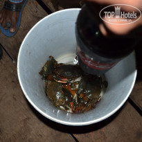 фото из отзыва ID 1344822