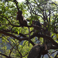 фото из отзыва ID 1344822