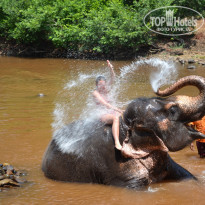 фото из отзыва ID 1344822