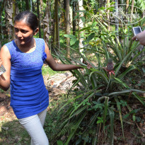 фото из отзыва ID 1344822