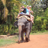 фото из отзыва ID 1344822